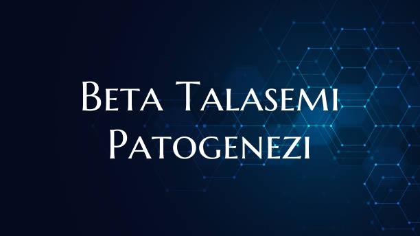 Beta Talasemi Patogenezi