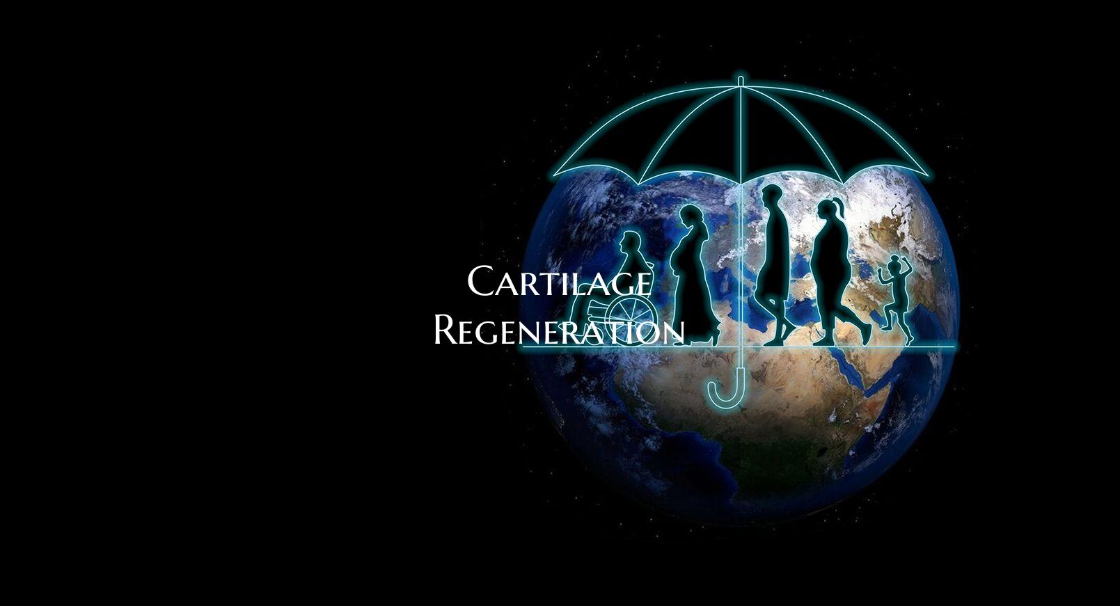 Cartilage Regeneration
