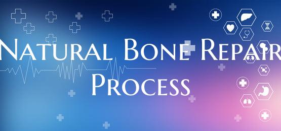 Natural Bone Repair Process