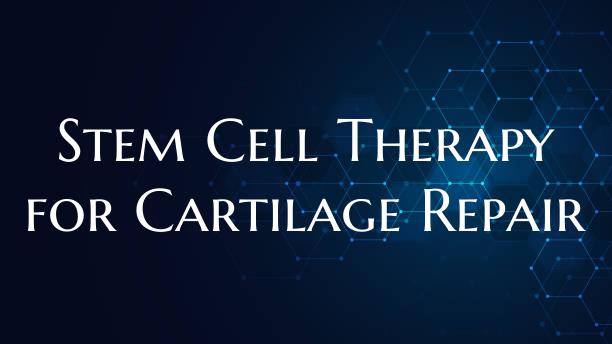 Stem Cell Therapy for Cartilage Repair