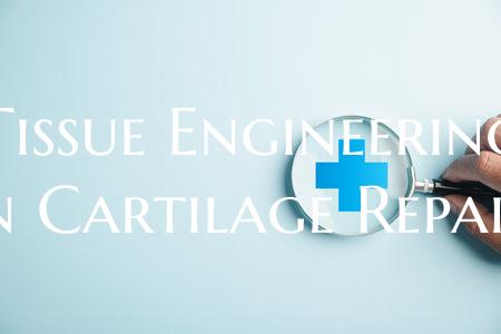 Tissue Engineering in Cartilage Repair